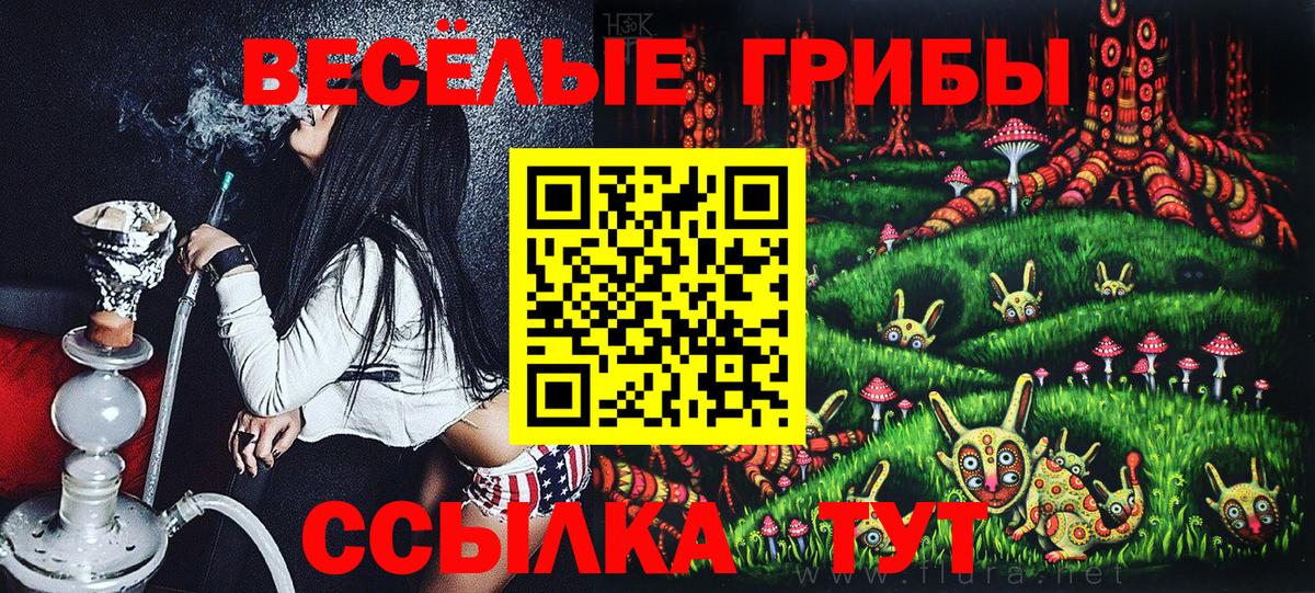 Пугачёв  Псилоцибиновые грибы GOLDEN TEACHER  Вход с VPN 